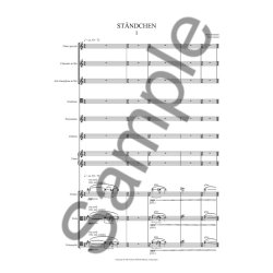 S&atilde;rensen St&sup3;ndchen 2013 Sc