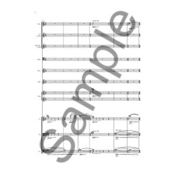 S&atilde;rensen St&sup3;ndchen 2013 Sc