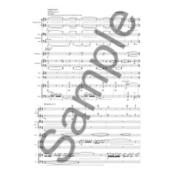 Niels Marthinsen: Dr. Jekylls Advokat  (Score)