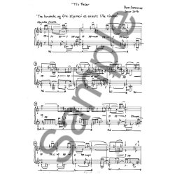 Bent S&oslash;rensen: Dreihundertvier Sterne In Einem Kleinen Fenster