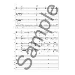 Gudmundsen-Holmgreen All In One Sc