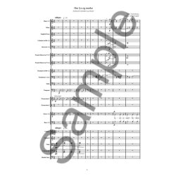 Koppel: Om Lys Og M&oslash;rke (Score)