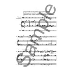 Peter Bruun: Intet Farligere End At Erindre (Score)