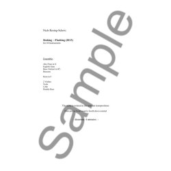 Niels Rosing: Schow  Sinking  Flashing