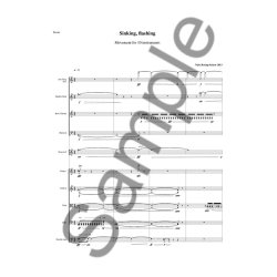 Niels Rosing: Schow  Sinking  Flashing