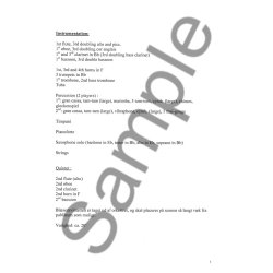 Sunleif Rasmussen: Dem Licht Entgegen