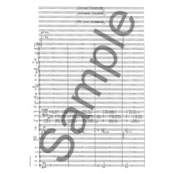 Sunleif Rasmussen: Dem Licht Entgegen