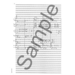 Sunleif Rasmussen: Dem Licht Entgegen