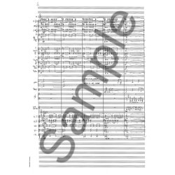 Sunleif Rasmussen: Dem Licht Entgegen