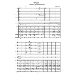 Koppel Andorinha / The Swallow Sc