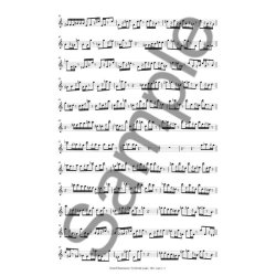 Sunleif Rasmussen: Territorial Songs (Solo Recorder Part)