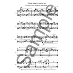 Peter Bruun: Through Grass Towards The Sea (Piano Solo)