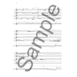 Schaathun Poems From The..Mez/Ens Sc