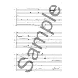 Schaathun Poems From The..Mez/Ens Sc