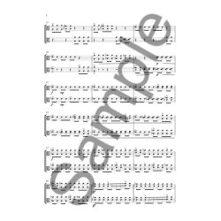 S&oslash;ren Nils Eichberg: Toccata - Version For 2 Violas (Score And Parts)