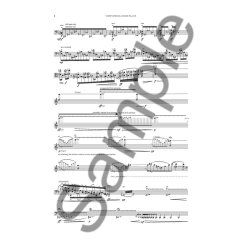 Niels Rosing-Schow: Views From A High Place