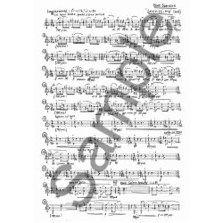 Bent S&oslash;rensen: Serenissima