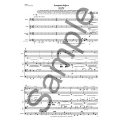 Andy Pape: CO2pera - Dampenes Rejse (Score)