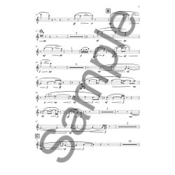 Pelle Gudmundsen-Holmgreen: Chacun Son Son (Part For Solo Recorder)