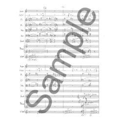 Pelle Gudmundsen-Holmgreen: Din Tavshed/Your Silence (Score)