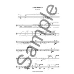 Niels Rosing-Schow: ...Aus Atmen... (Flute Solo)