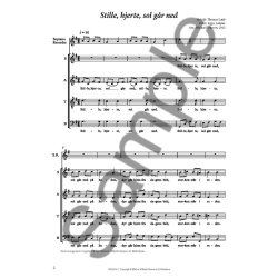 Stille, Hjerte, Sol G&aring;r Ned (Arr. Michael Bojesen)