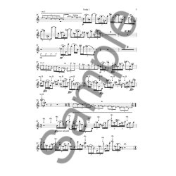 Thomas Agerfeldt Olesen: String Quartet No.7 'The Extinguishable' (Parts)