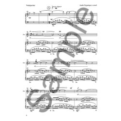 Andy Pape: Andre Bygninger - En Opera i 2 Akter (Vocal Score)