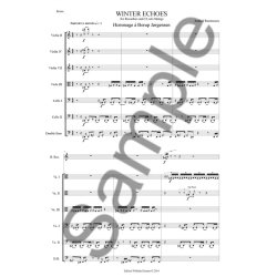 Sunleif Rasmussen: Winter Echoes For Recorder And 13 Solo Strings (Score)