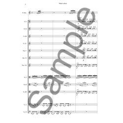 Sunleif Rasmussen: Winter Echoes For Recorder And 13 Solo Strings (Score)