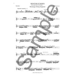 Sunleif Rasmussen: Winter Echoes For Recorder And 13 Solo Strings (Recorder Solo)