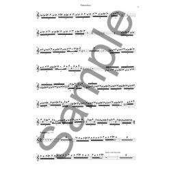 Sunleif Rasmussen: Winter Echoes For Recorder And 13 Solo Strings (Recorder Solo)