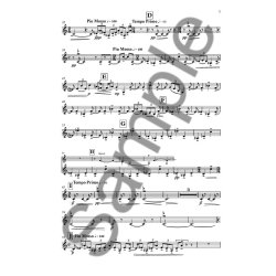 Karsten Fundal: Fatamorgana Invention (Version 2014) (Parts)