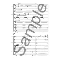 Pelle Gudmundsen-Holmgreen: Musik For 13 Strygere (Score)