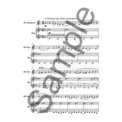 Peter Bruun:  Her Rydded De Marken For Stene Engang (Score)