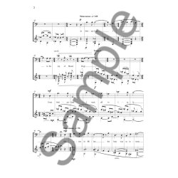 David Starobin: From Tchaikovsky's Letters (Vocal Score)