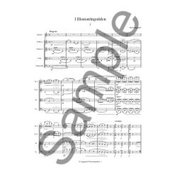 Rued Langgaard: I Blomstringstiden