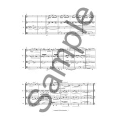 Rued Langgaard: I Blomstringstiden