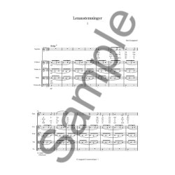 Rued Langgaard: Lenaustemninger