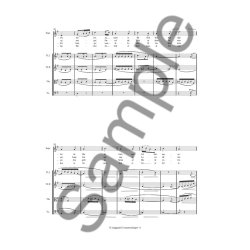 Rued Langgaard: Lenaustemninger