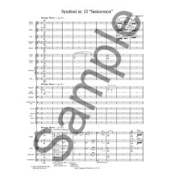 Rued Langgaard: Symfoni nr. 15 "S&oslash;stormen"