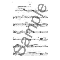 Hans Abrahamsen: Double Concerto for Violin, Piano and String Orchestra (Violin Solo)