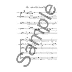 Henrik Hellstenius (Arr.): Robert Schumann's Dichterliebe (Score)