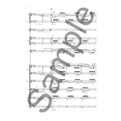 Henrik Hellstenius (Arr.): Robert Schumann's Dichterliebe (Score)