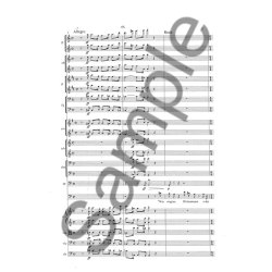 Franz Schubert: Der Taucher (Arr. Karl Aage Rasmussen)