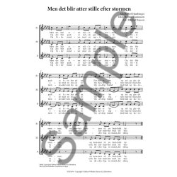 Michael Bojesen (Arr.): Povl Hamburger - Men Det Blir Atter Stille Efter Stormen (Choral SSA)