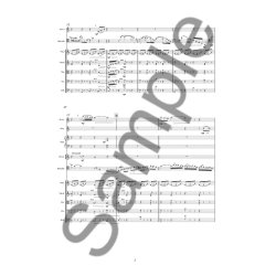 Anders Koppel: Concerto For Bassoon And Orchestra (Score)