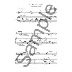 Arnold Sch&ouml;nberg: Lied (Ohne Worte) From Serenade Op. 24 (Player's Score)