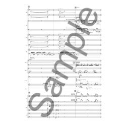 Juliana Hodkinson: Can Modify Completely/In This Case/Not That It Will Make Any Difference... (Score)