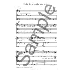 Peter Sander Andersen & Svend Erik Petersen: Hvad Er Det, Der G&oslash;r Jul Til Noget S&aelig;rligt (SATB/SAA)
